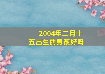 2004年二月十五出生的男孩好吗