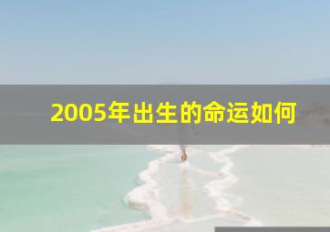 2005年出生的命运如何