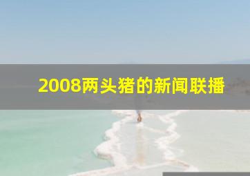 2008两头猪的新闻联播