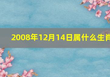 2008年12月14日属什么生肖