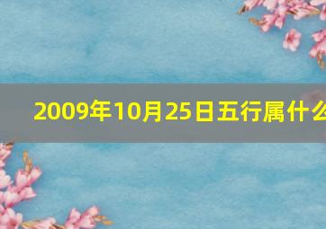 2009年10月25日五行属什么