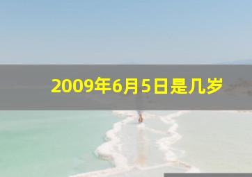 2009年6月5日是几岁