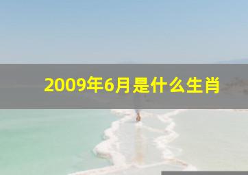 2009年6月是什么生肖