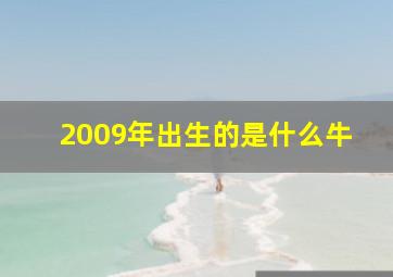 2009年出生的是什么牛