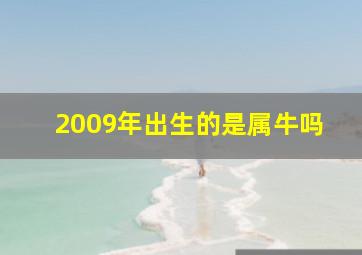 2009年出生的是属牛吗