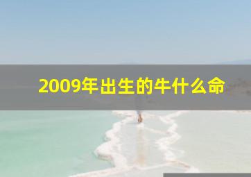 2009年出生的牛什么命