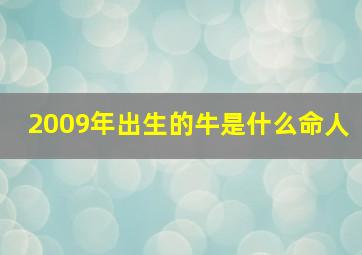 2009年出生的牛是什么命人