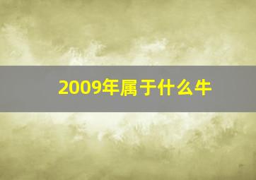 2009年属于什么牛