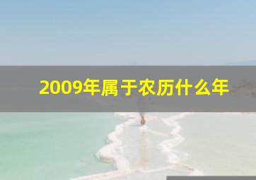 2009年属于农历什么年