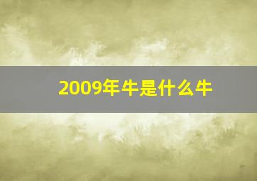 2009年牛是什么牛