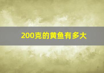 200克的黄鱼有多大