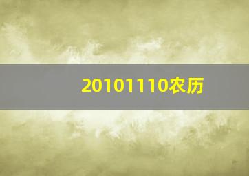 20101110农历