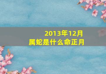 2013年12月属蛇是什么命正月