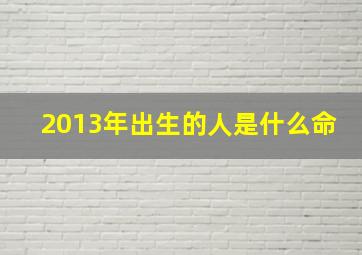 2013年出生的人是什么命