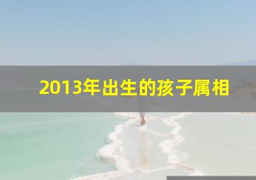 2013年出生的孩子属相