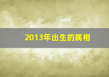 2013年出生的属相