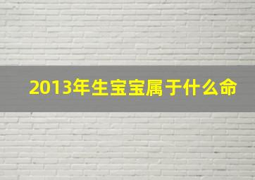 2013年生宝宝属于什么命