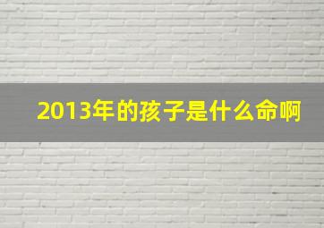 2013年的孩子是什么命啊