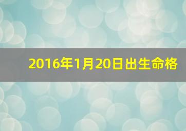 2016年1月20日出生命格