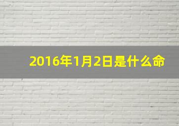 2016年1月2日是什么命