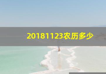 20181123农历多少