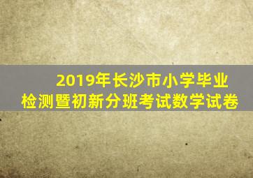 2019年长沙市小学毕业检测暨初新分班考试数学试卷