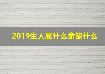 2019生人属什么命缺什么