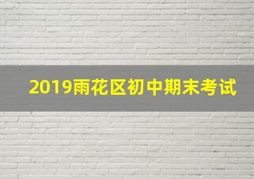 2019雨花区初中期末考试