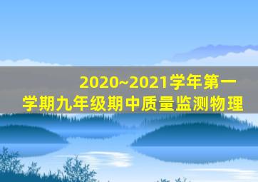 2020~2021学年第一学期九年级期中质量监测物理