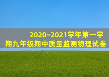 2020~2021学年第一学期九年级期中质量监测物理试卷