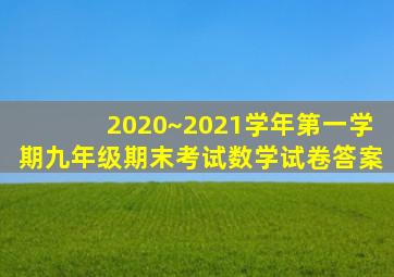 2020~2021学年第一学期九年级期末考试数学试卷答案