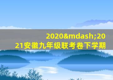 2020—2021安徽九年级联考卷下学期