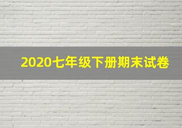 2020七年级下册期末试卷