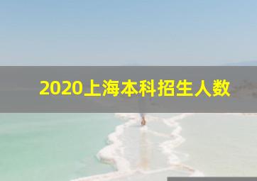 2020上海本科招生人数