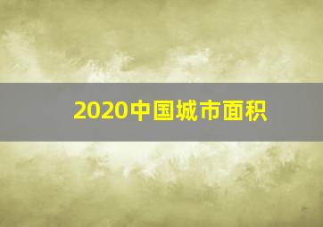 2020中国城市面积