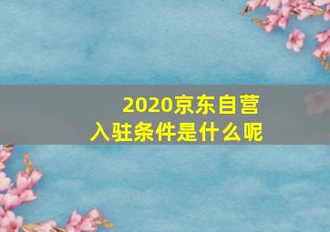 2020京东自营入驻条件是什么呢