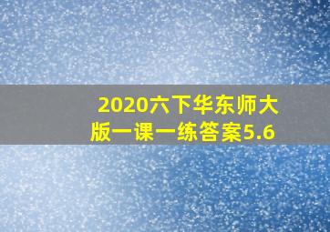 2020六下华东师大版一课一练答案5.6