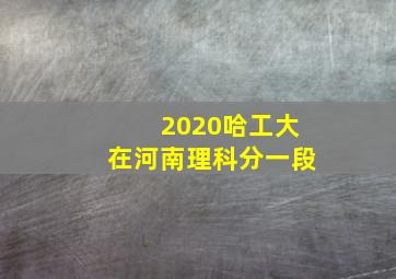 2020哈工大在河南理科分一段