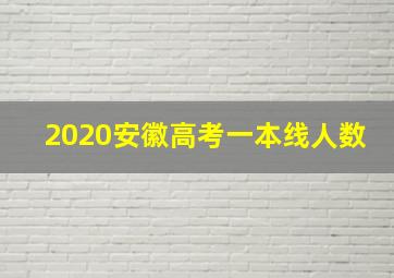 2020安徽高考一本线人数