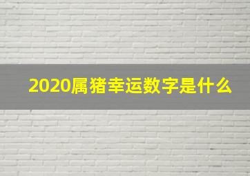 2020属猪幸运数字是什么