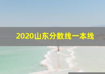 2020山东分数线一本线