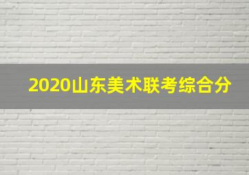 2020山东美术联考综合分