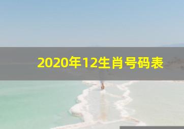 2020年12生肖号码表