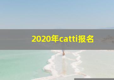 2020年catti报名