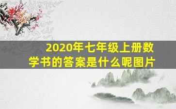 2020年七年级上册数学书的答案是什么呢图片