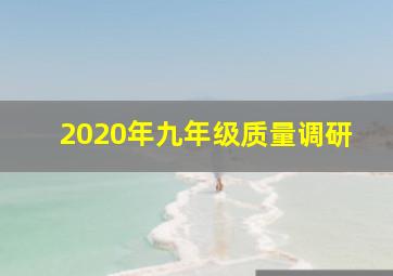 2020年九年级质量调研