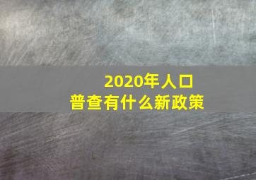 2020年人口普查有什么新政策