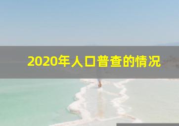 2020年人口普查的情况