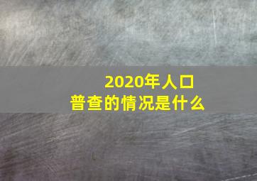 2020年人口普查的情况是什么