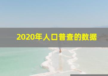 2020年人口普查的数据